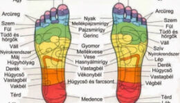 A láb reflexzónái