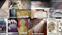 Hasonlóságok-Élet Virága