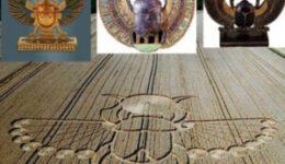 Hasonlóságok-Szárnyas szkarabeusz