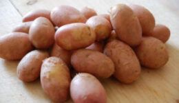 Magas láz csillapítása burgonyával