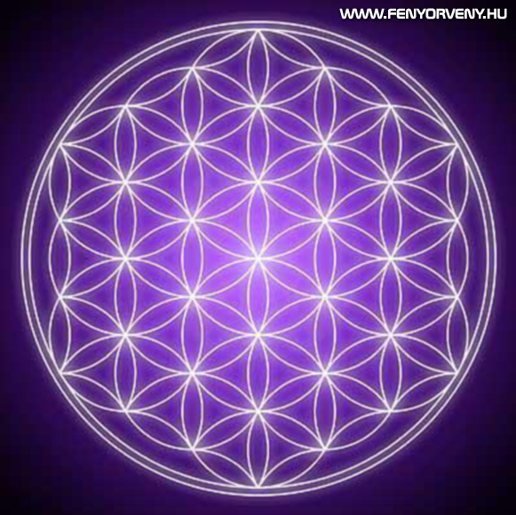 Hogyan rajzoljunk Élet Virágot