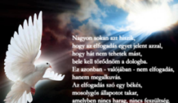 Az elfogadás nem megalkuvás