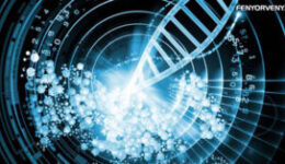 Az első alkalommal sikerült a tudósoknak tárolniuk egy 300 oldalas könyvet DNS-ben