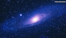 Új tulajdonságokkal rendelkező élő szervezet a világűrből