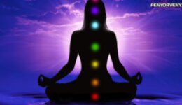 CSAKRÁK jellemzői és tulajdonságai