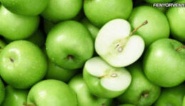 Hogyan lehet meggyógyítani egy lyukas fogat természetesen, fúrás és tömés igénye nélkül