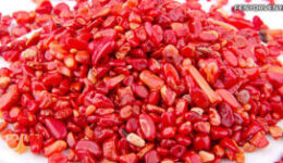 Színek jelentései-Korall