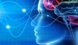 Dr.Suzan Carolls - Agyhullámok és tudat