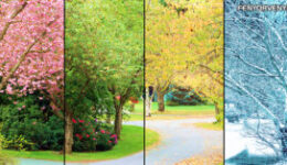 A változás törvénye