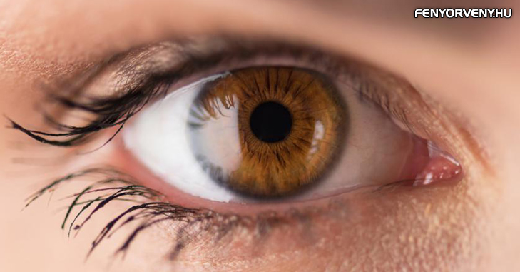 A szem helyreállítása egyszerű tornával
