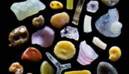 Bámulatos-Homokszemek 300-szoros nagyítással