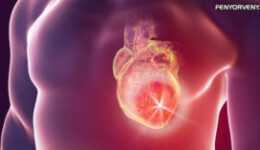 Kiderült, hogy a szív a legintelligensebb szerv