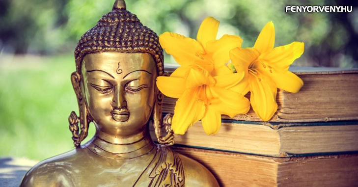 Tízmilliószoros teremtő napok 2014-ben