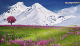 A szeretet Isten adománya