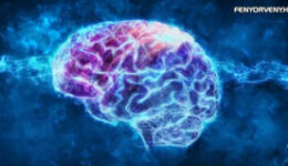 Az elme gyógyító ereje