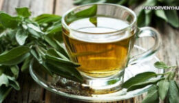 A zsálya tea hatásai