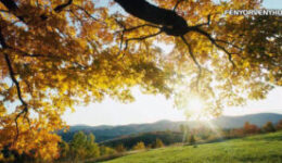 Hagyj helyet a váratlannak