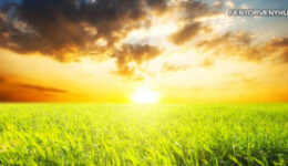 Intuitív bölcsességem vezérel lépésről lépésre egyedülálló utamon