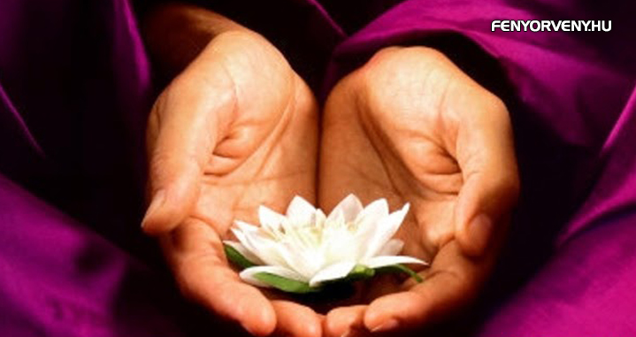 A Reiki 5 alapelve