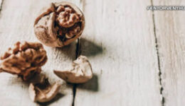 Ne dobd ki a dióhéjat, inkább használd fel!