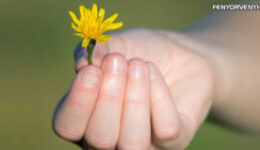 Alázattal és szeretettel fogadj mindent