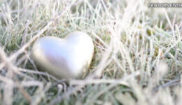 A Tiszta lehetségesség törvénye