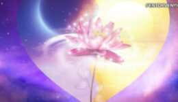 Minden válasz előre visz