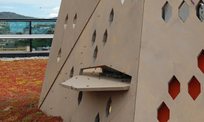 Külön utakat biztosítanak a méheknek Oslóban