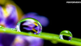 Mondj igent a jelen pillanatra!