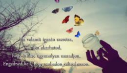Ha valamit igazán szeretsz...
