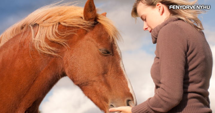 Miért szeretjük a lovakat és miért ők az ember legjobb barátai?