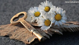 10 negatív beidegződés, ami miatt nem úgy működik a Vonzás Törvénye, ahogy azt TE szeretnéd!