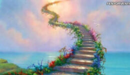 Az élet a legnagyobb tanítómester