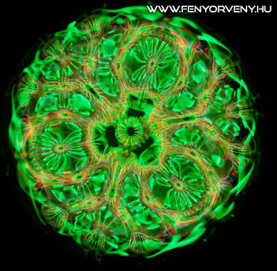 Így néznének ki a hangok – ha látnánk őket