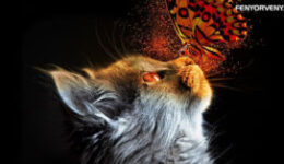 Nem az a lényeg....