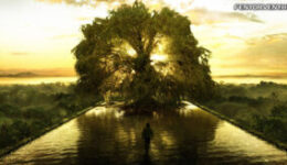 A pozitív lét dimenziói-Pozitív élet