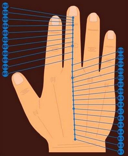 A kormányzó mikro-meridián akupunktúrás pontjai a kézen-2