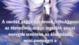 A csodák akkor kezdenek felbukkanni az életedben...