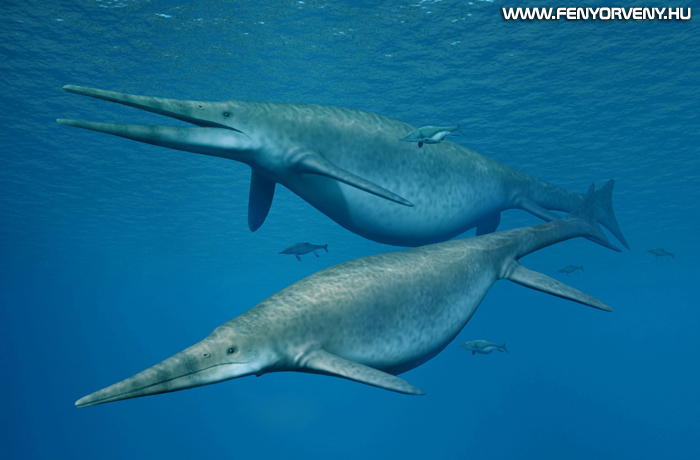 Gigantikus méretű halgyíkok úsztak egykor a tengerekben