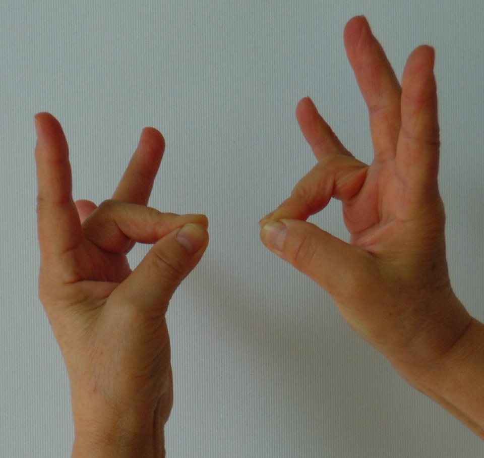 Parva (ízület)-mudra Parva (ízület)-mudra