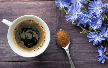 A gyógyító cikória - nem csak kávé pótló