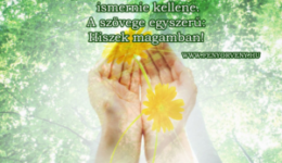 Minden embernek ismernie kellene...