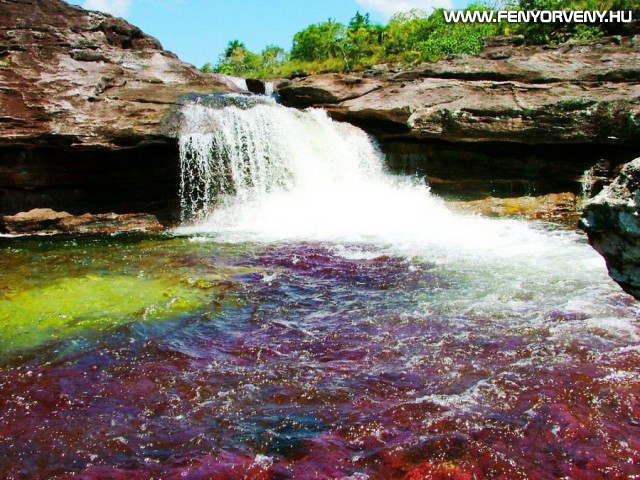A Szivárvány folyó - a világ legszínesebb és legszebb folyója (VIDEÓVAL)