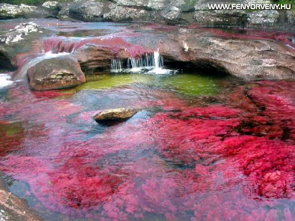 A Szivárvány folyó - a világ legszínesebb és legszebb folyója (VIDEÓVAL)