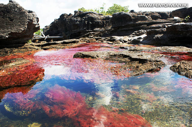 A Szivárvány folyó - a világ legszínesebb és legszebb folyója (VIDEÓVAL)