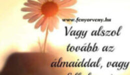 Minden reggel két választásod van