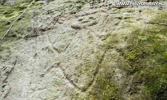 Ismeretlen lényeket és mintákat ábrázoló sziklarajzokat találtak egy karib szigeten