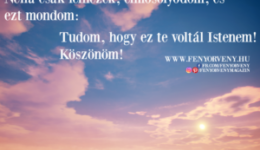Néha csak felnézek...