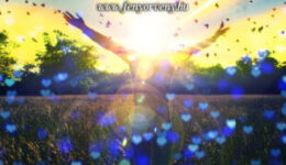 Emeld fel a tekinteted