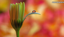 Napi pozitív megerősítés: Amint kimondasz megerősítő kijelentést